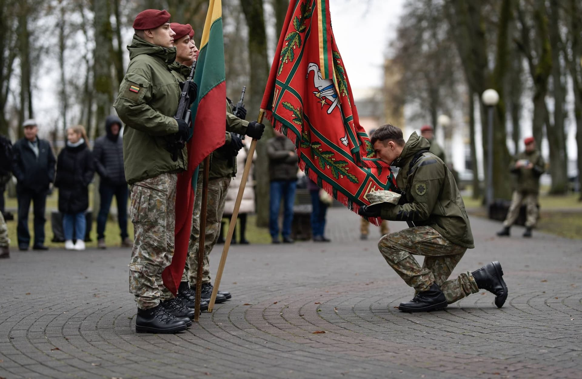 Lithuanian_NDVF_Freepik.jpg